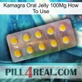 Kamagra Oral Jelly 100Mg How To Use new11